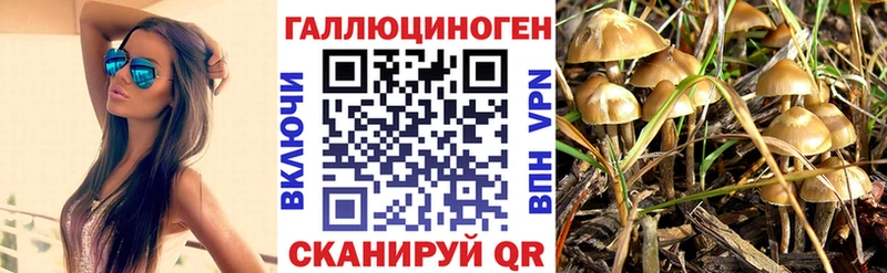 Псилоцибиновые грибы Magic Shrooms Ржев